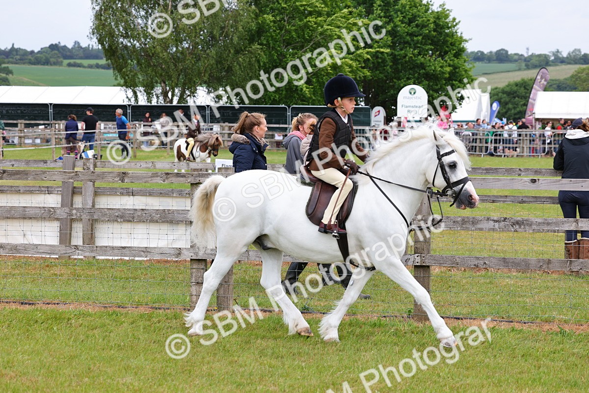 SBM_08553 - Class 42-43 - LIHS BSPS Heritage Working Sports Pony