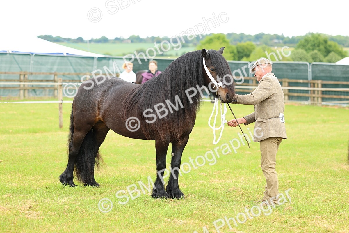 SBM_00544 - Class 58-67 - M&M Non Welsh Pony In hand