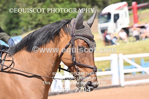 BPP_7204 - CLASS 14 FRI Nupafeeds Senior Dicovery/1m open