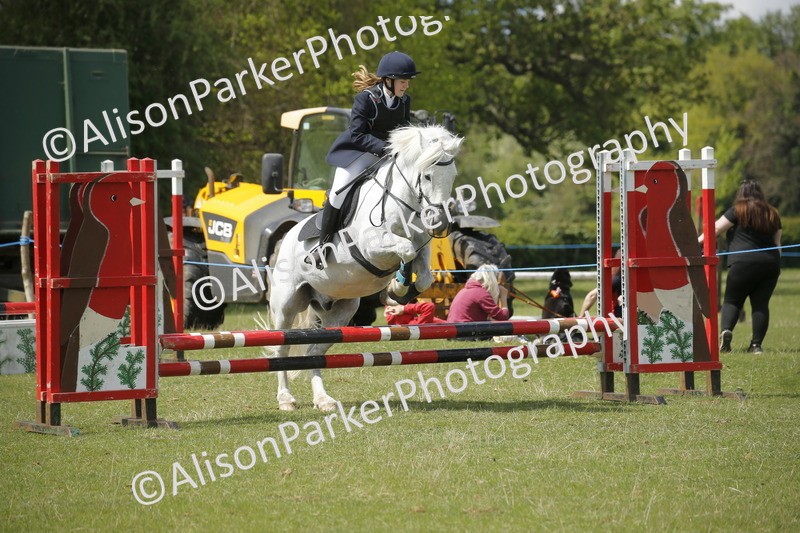 20250427-3740 - Class 14 - Absolute Novice 70cm