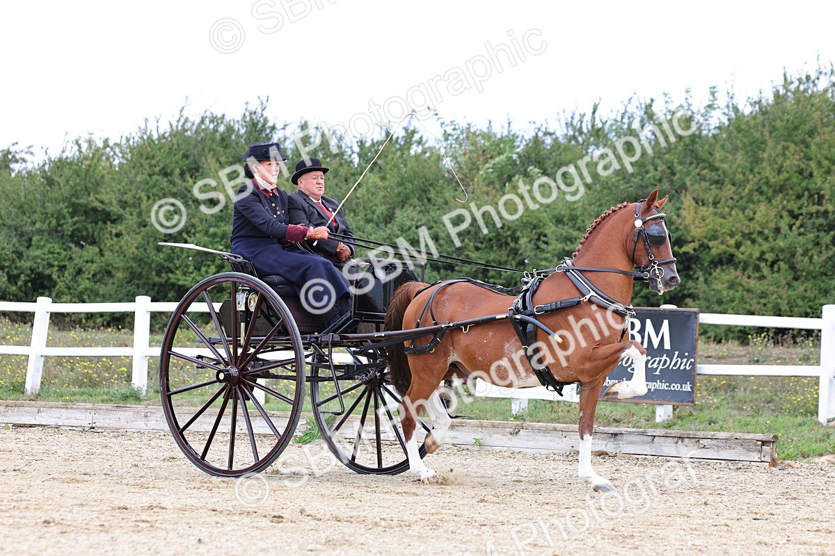 SBM_000410 - Class 4 - Junior Whip