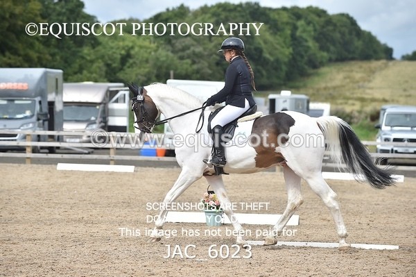 JAC_6023 - NOVICE 6