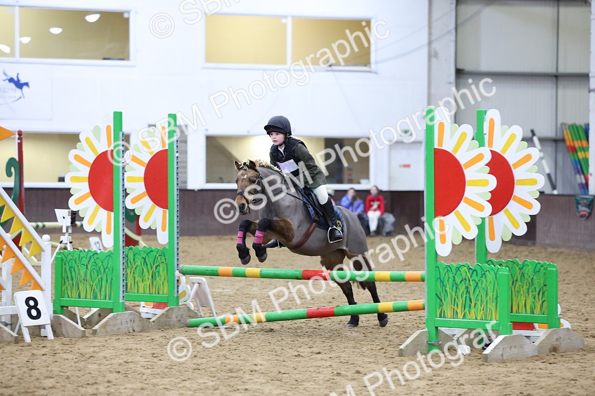 SBM_001136 - Class 3 - Christmas Tree Stakes - 60cm