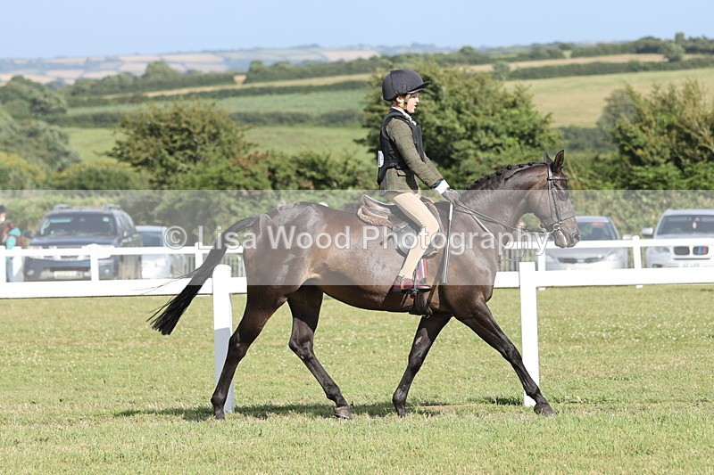 JPP_2867 - Class 20: Working Hunter 70cm