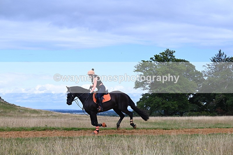 DSC_8843 - Time at Statue 14:33 to 15:10
