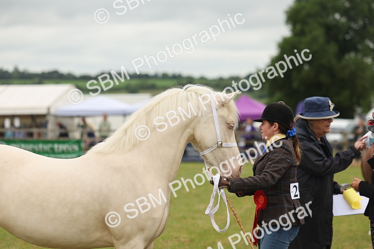 SBM_02413 - Class 50-57 - M&M Welsh Pony In Hand