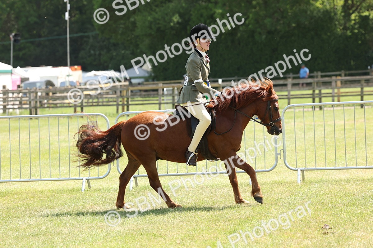 SBM_06873 - Class 26-30 - Mountain and Moorland Ridden