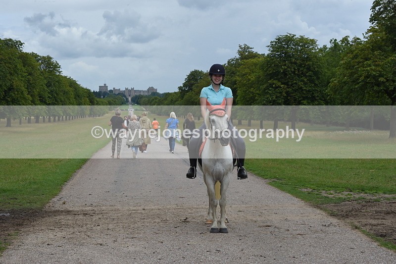 TT3_9884 - Time at Crossing 11:28 to 13:16