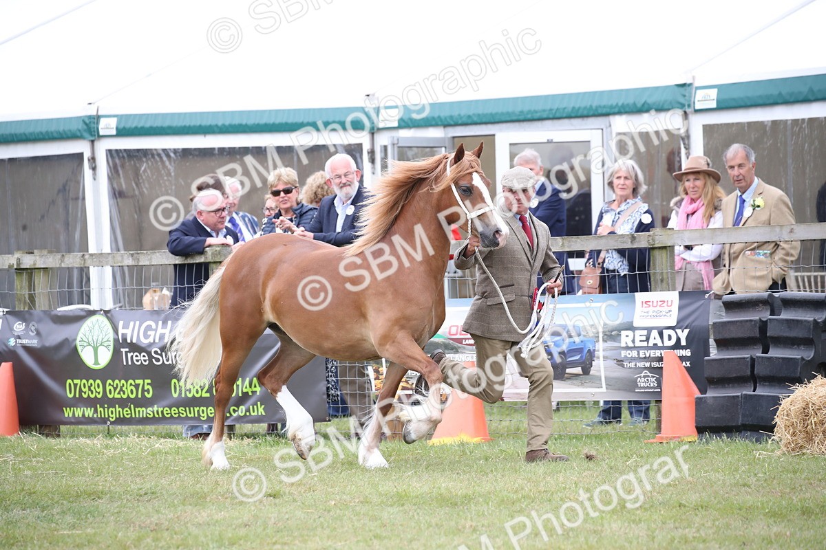 SBM_09746 - Ch 50 - Price Family Supreme In Hand