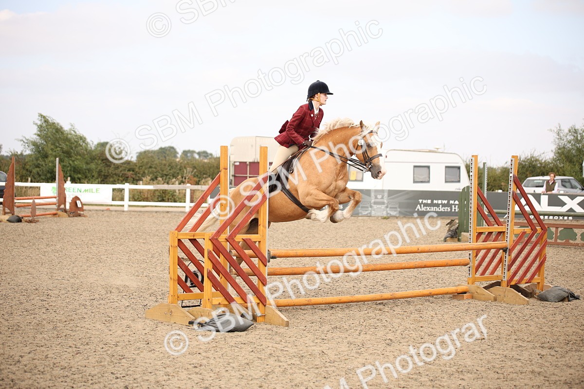 SBM_16207 - Class 409a - Working Veteran 80cm (15-19)