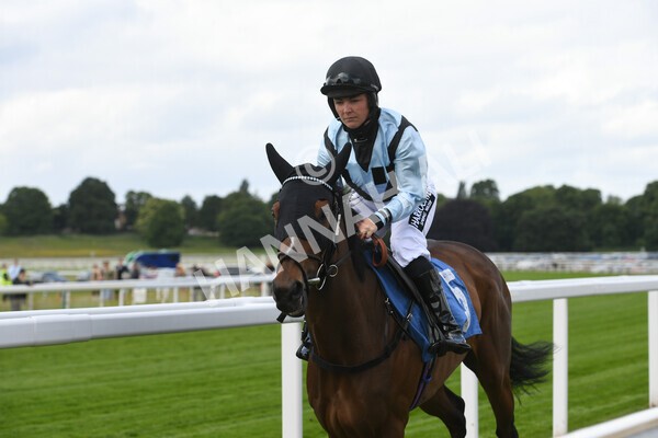 yr11062022r2-19 - Race 2 2.00pm Queen Mother's Cup