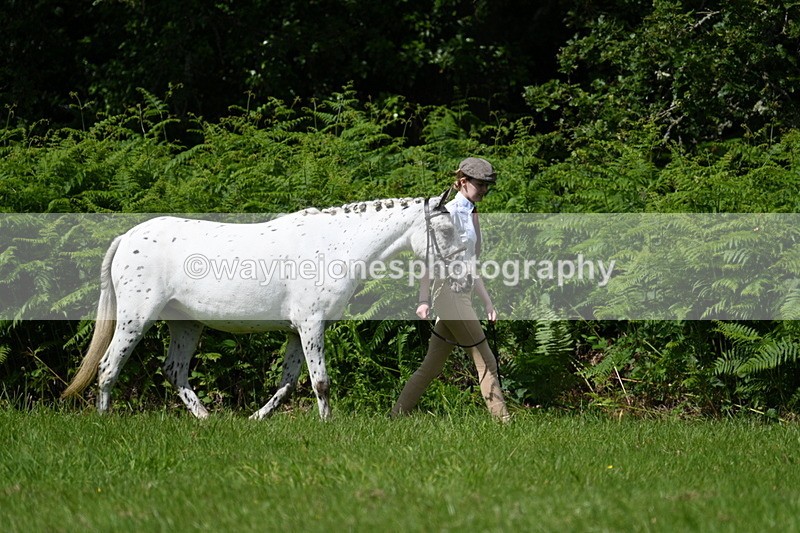 WJ7_1511 - Class 11 Condition & Turnout