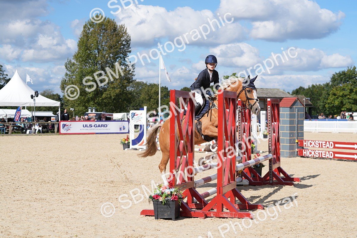 SBM_38865 - J21 - Junior Horse 60cm Championship