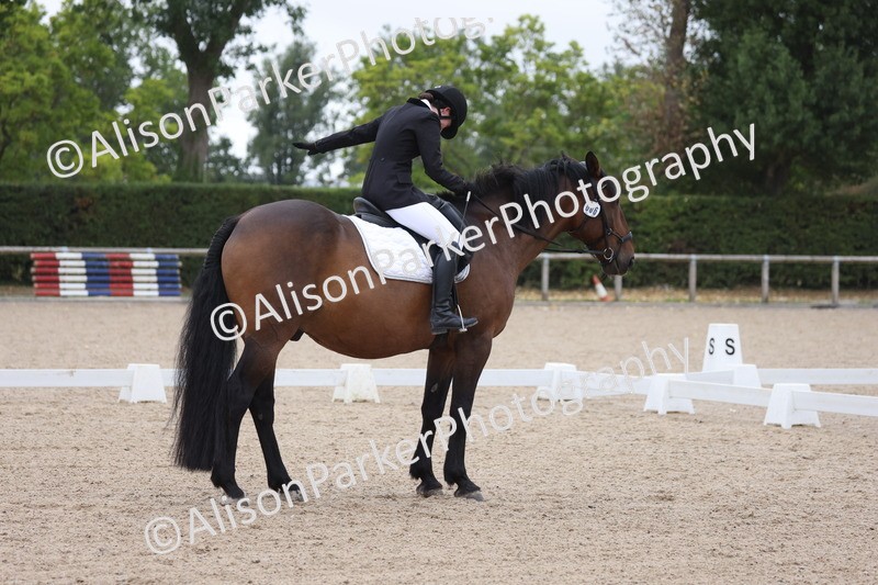 20250820-0360 - Class 11 - My Quest Novice 3