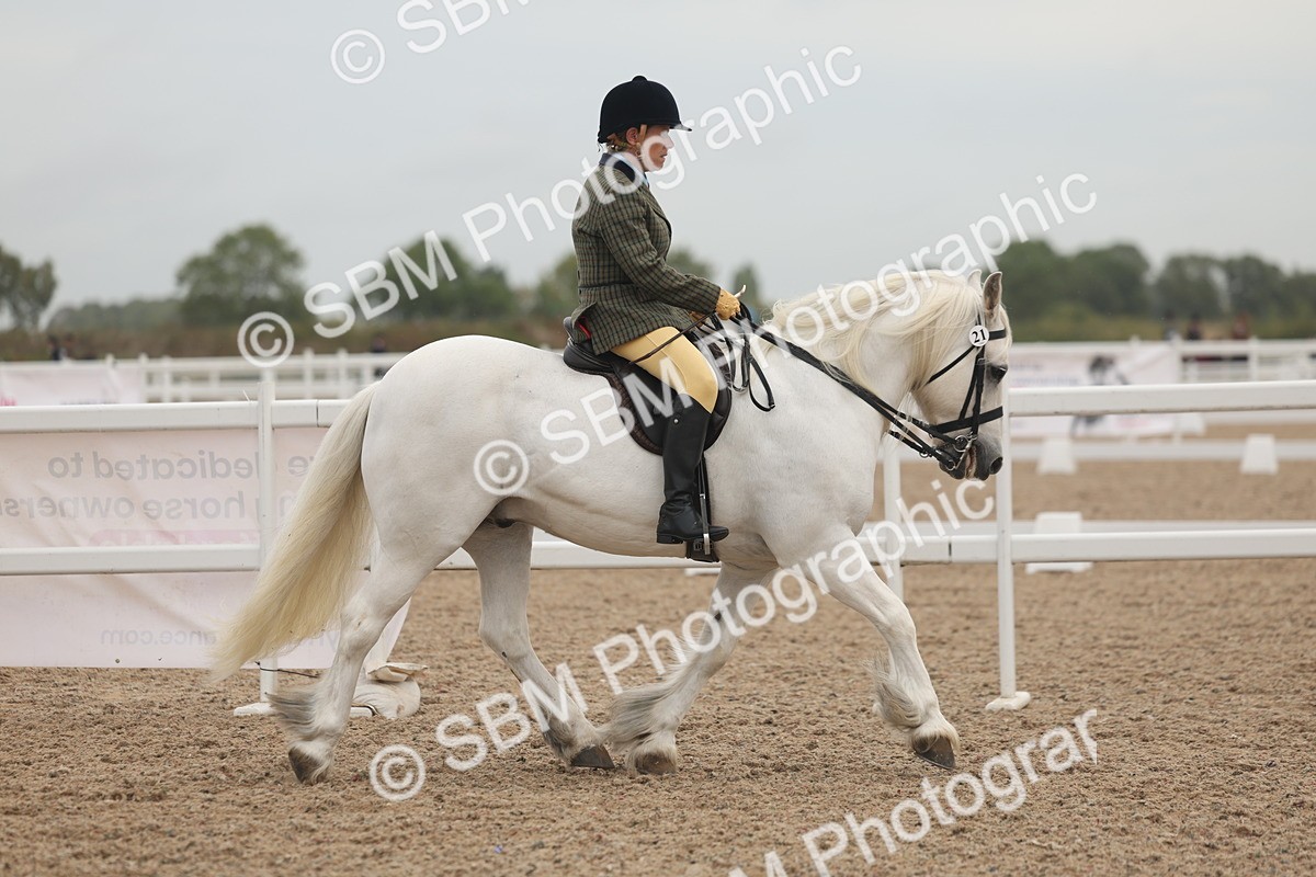 SBM_01867 - Class 14 - Ridden M&M Wildcard