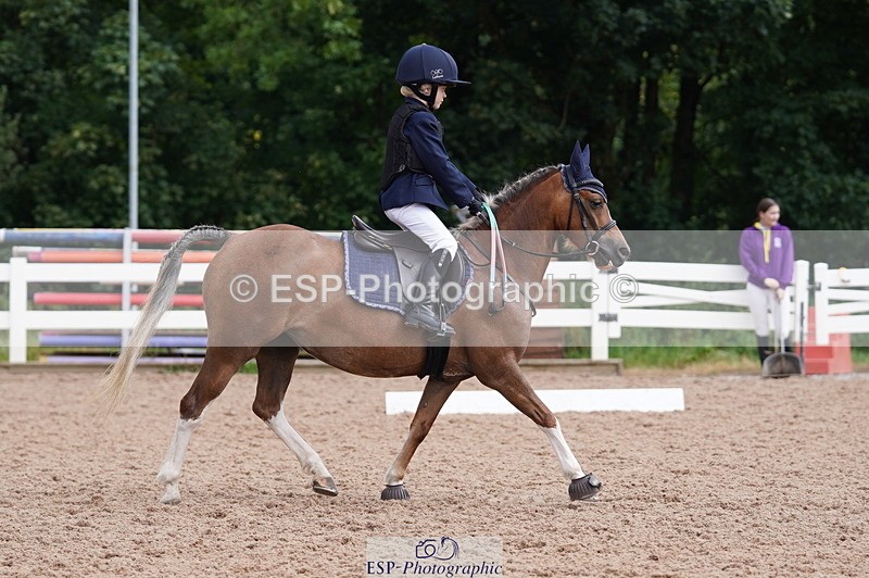 240809A-100522-00414 - Dressage Competition