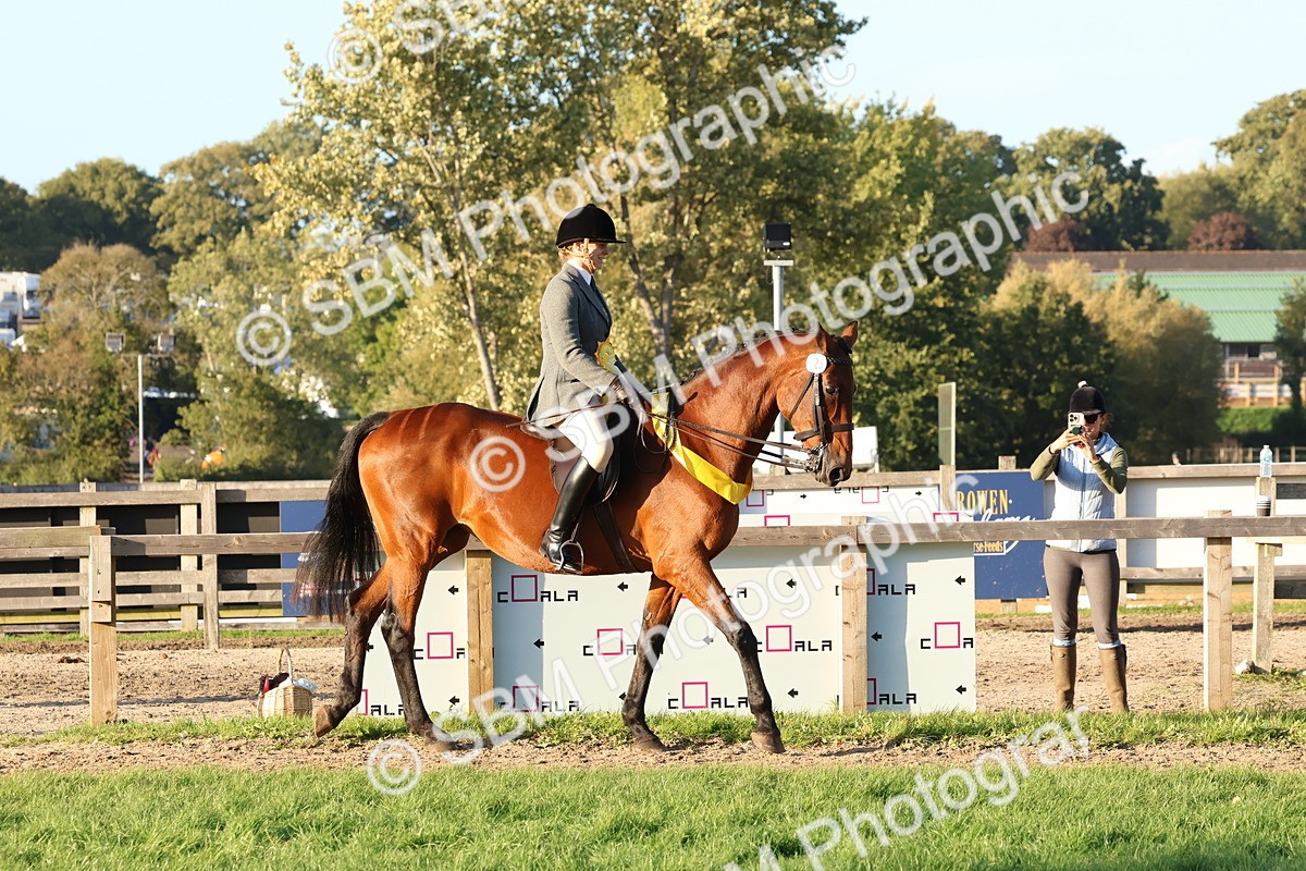 SBM_53121 - Veteran Supreme Championship