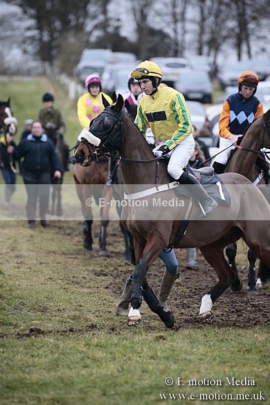 PtP 180218 166 - Combined Services Point-to-Point Larkhill 18/02/18