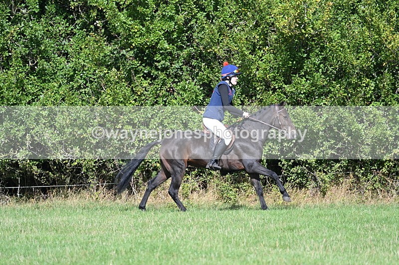 WJ7_8564 - 60cm Pairs