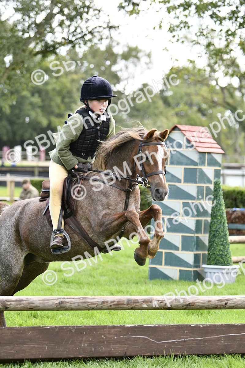 SBM_41258 - S32 - Mountain & Moorland Working Hunter Pony