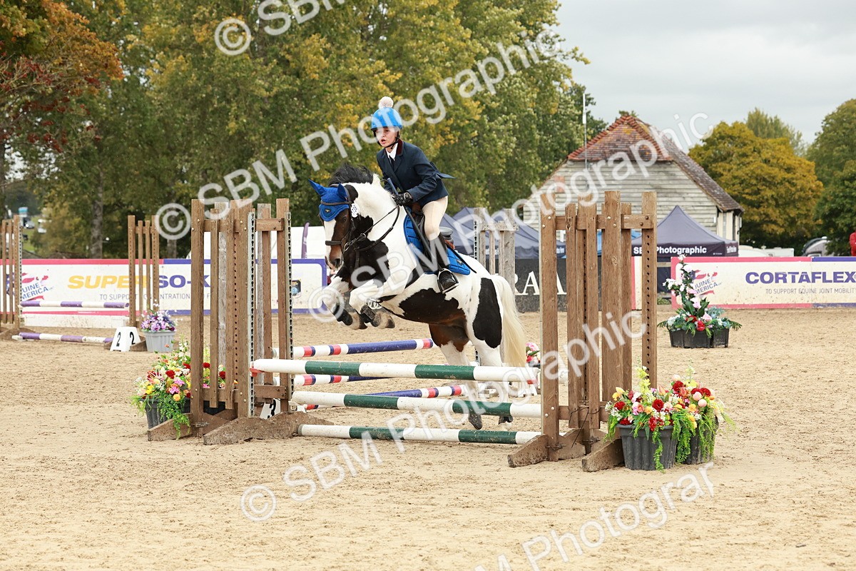 SBM_69081 - J13 - Junior Pony 60cm Championship