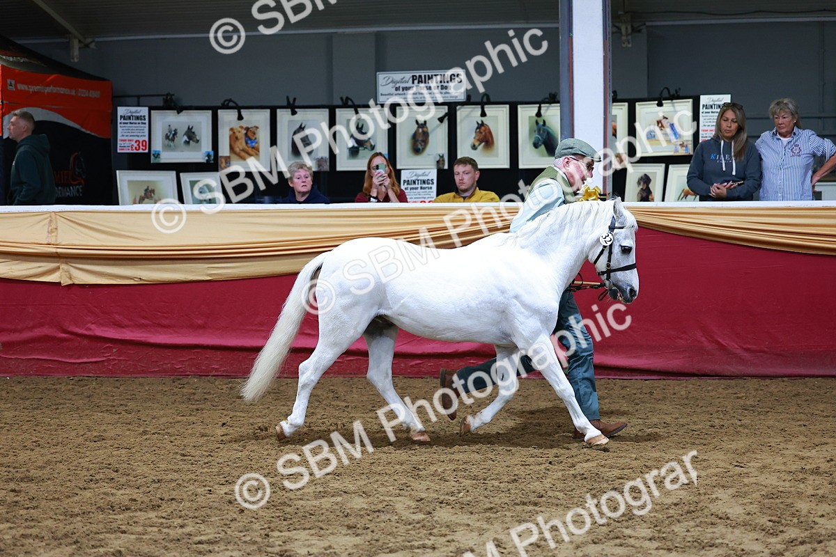SBM_15984 - Class 901 - Sup Final - IH Diamond