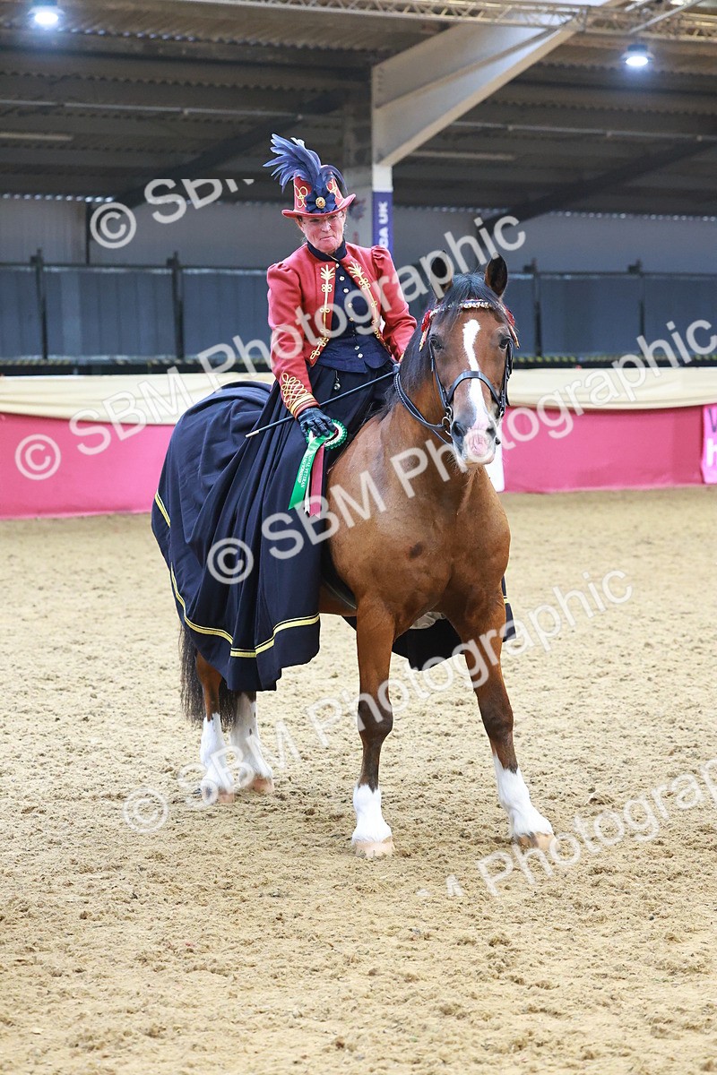 SBM_14852 - Class 108 - Ridden Costume - Astride Adult (20+)