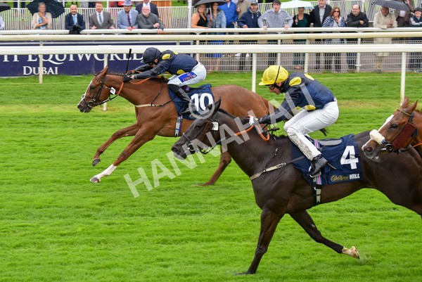 140723-Race 2-Swingalong-8135 - Race 2 2.40pm William Hill Summer Stakes