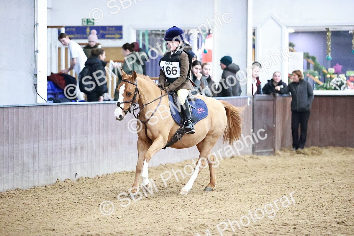 SBM_000153 - Class 1 - 40cm