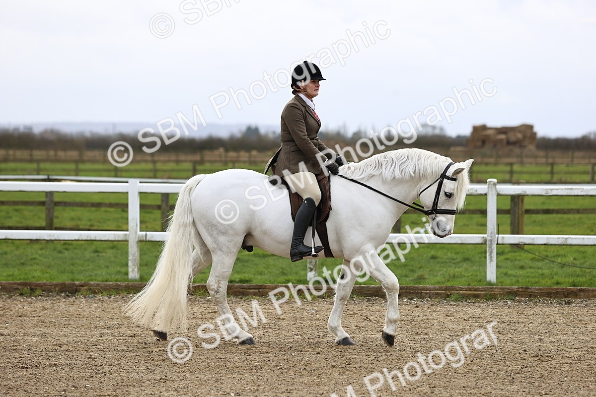 SBM_006884 - Class 29 - 30 - M&M Pure Novice Small-Large Breeds