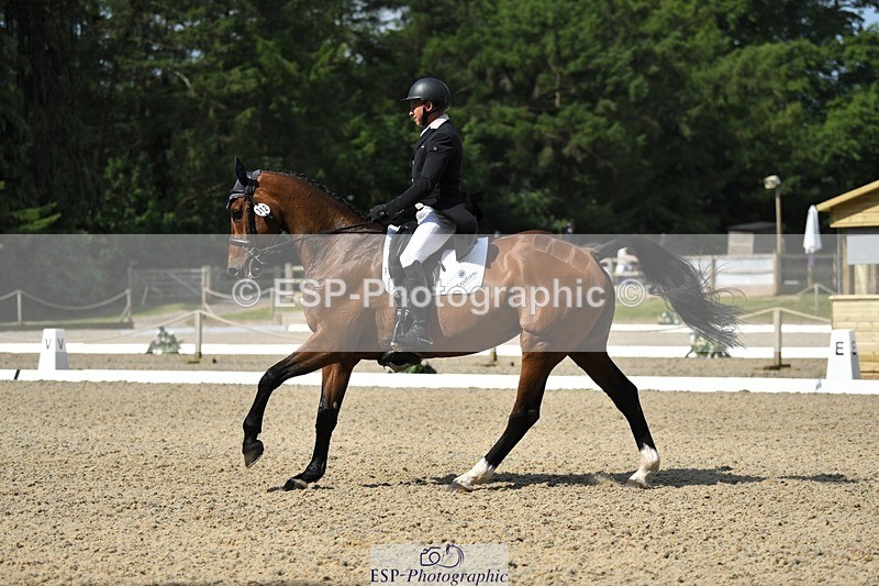 230525-102710-01716 - 312-J'ADORE_SALSA-Michael_Owen-WEDTrotUp+DR