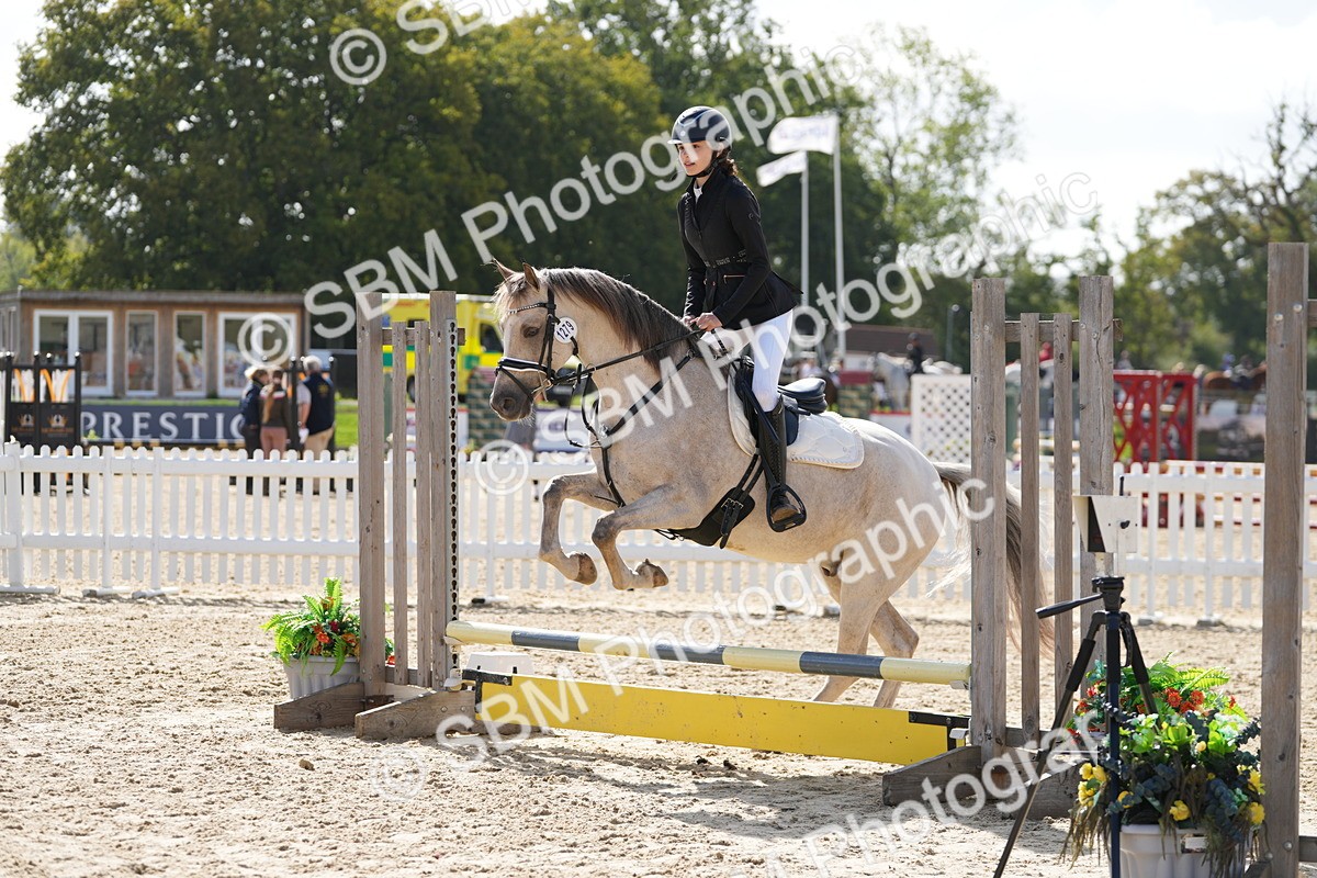 SBM_17834 - J58 - Clear Round 50cm