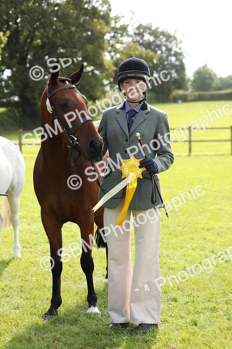 SBM_65636 - S48 - Show Pony & Show Hunter Pony In Hand