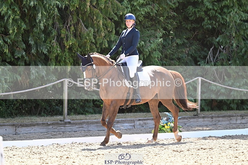 260731A-112359-00336 - Elementary Bronze 10.30 - Break
