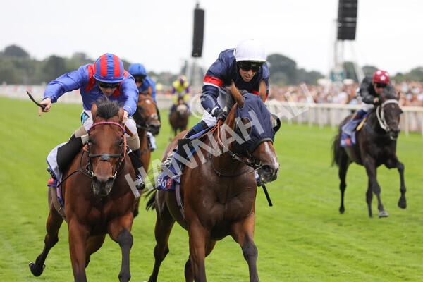 yr23072022r3-31 - Race 3 3.15pm Sky Bet York Stakes
