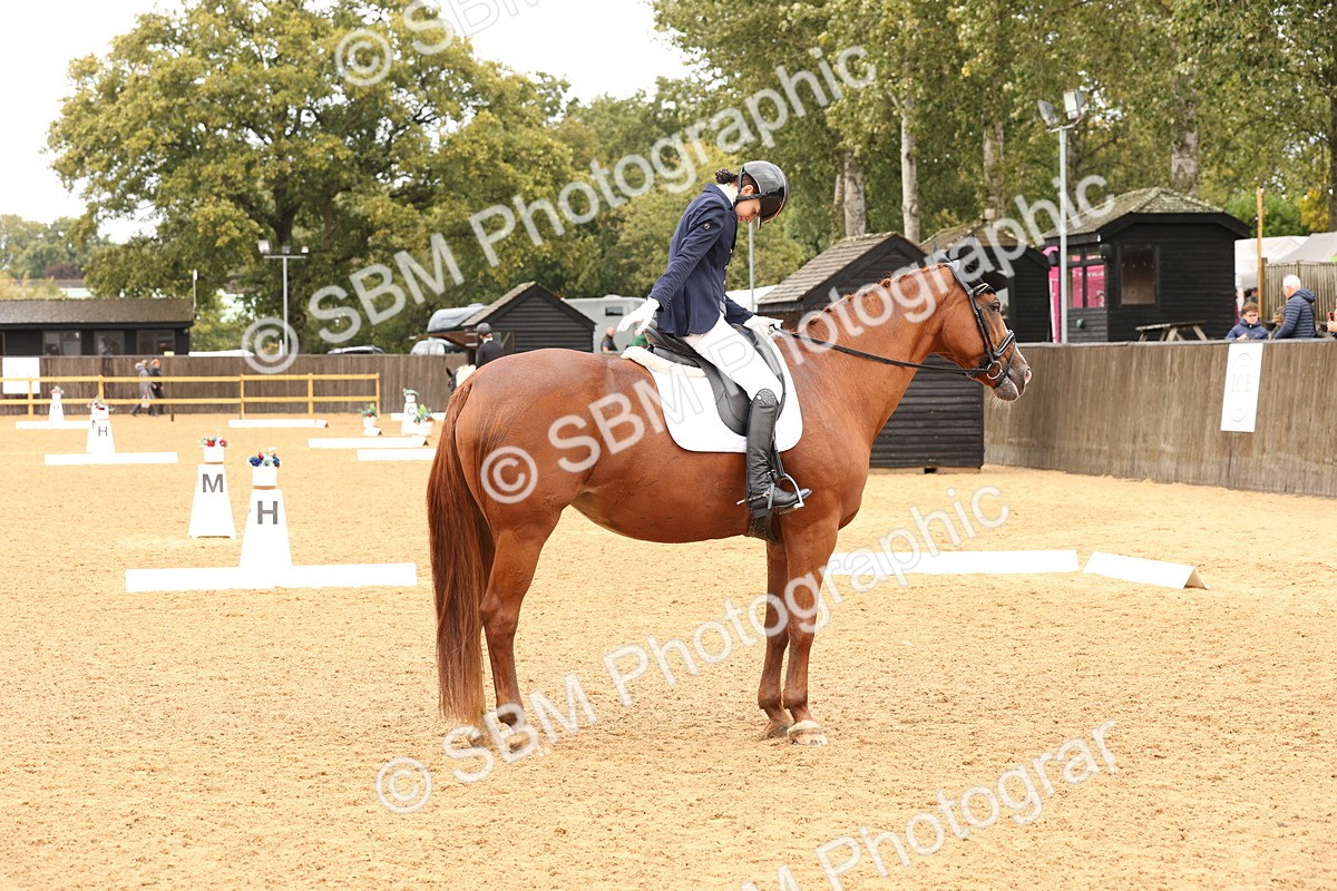 SBM_44151 - D6 - Small Tour Championship Intro 4