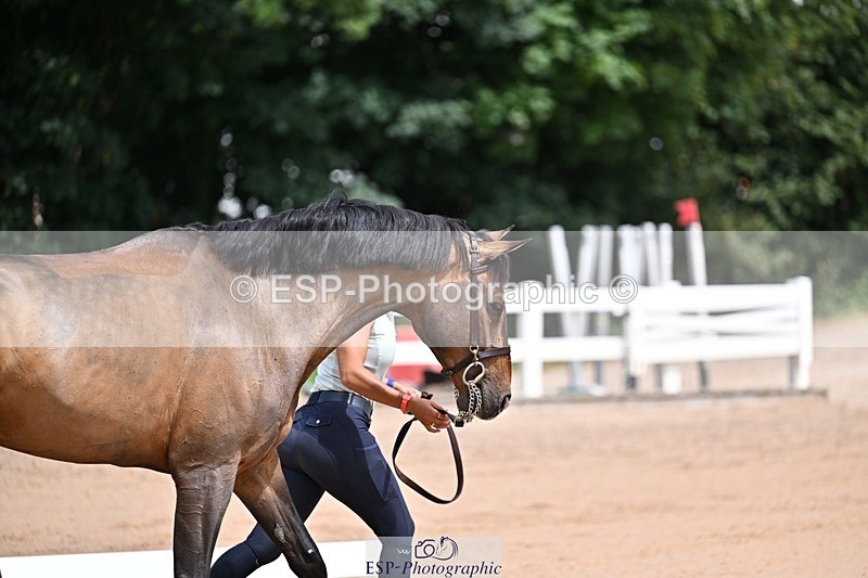 250716-125537-00222 - Trot Up 12.30 to 1.30