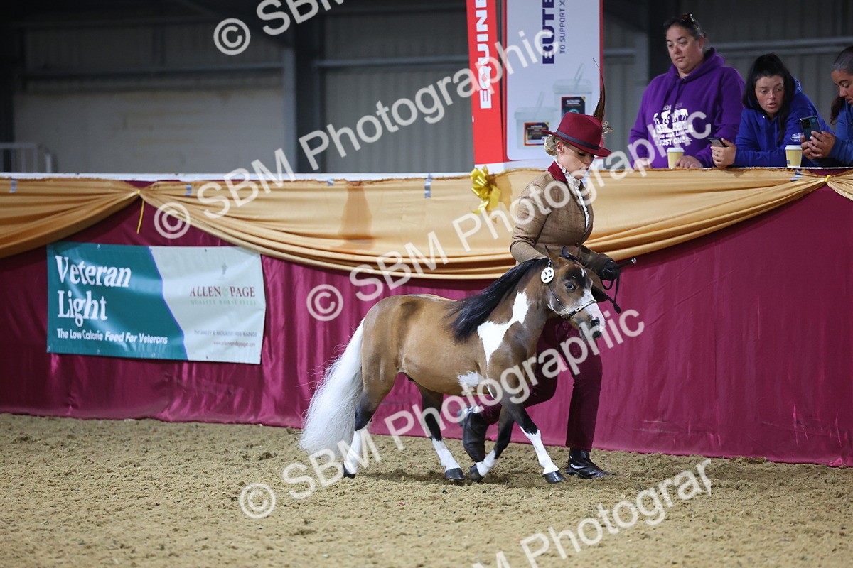 SBM_20964 - Class 902 - Supreme Final IH Veteran