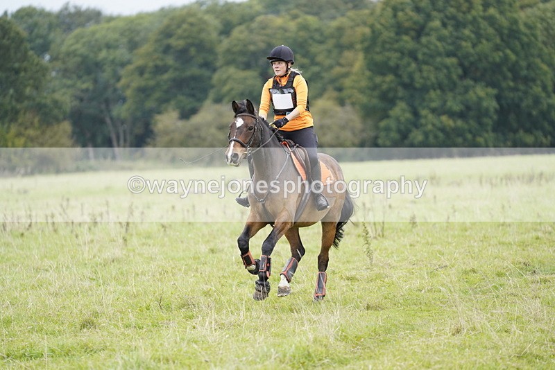 _DSC6992 - Time at Photographer 10:13 to 10:42