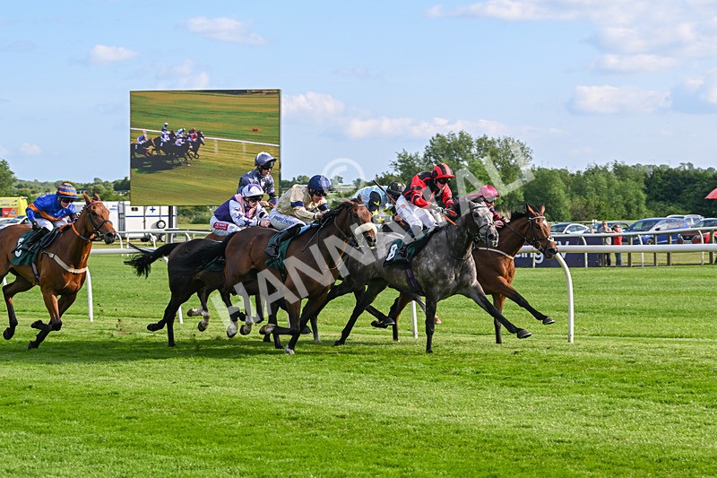 100625-Race 3-Stellarmasterpiece-6852 - Race 3