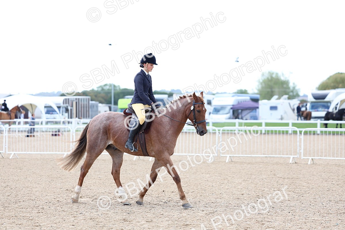 SBM_10106 - Class 304 - Ridden Part Bred Horse Pony