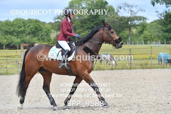 BPP_9588 - CLASS 6 Senior Newcomers/ 1.10m Open