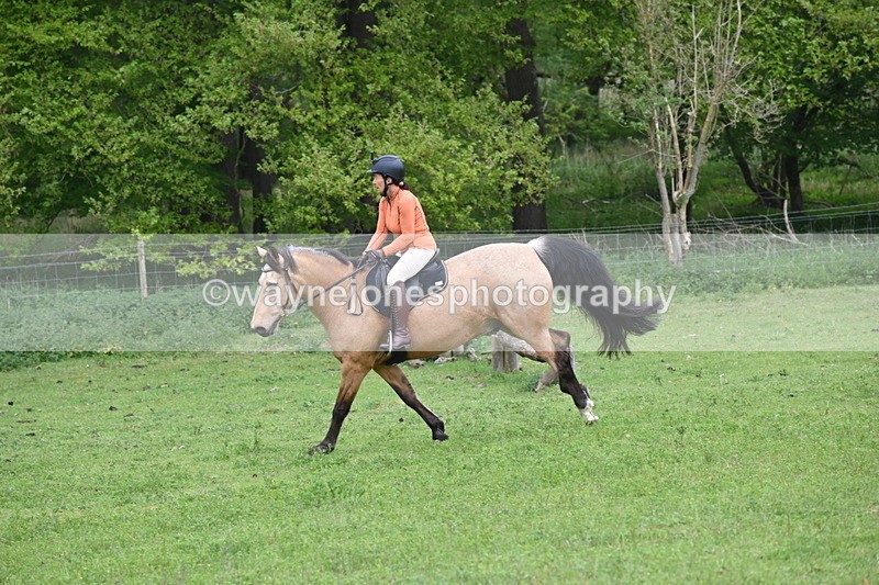 WJ6_2628 - A camera