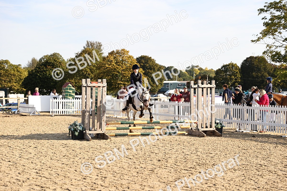 SBM_59590 - J11 - Junior Pony 50cm Championship