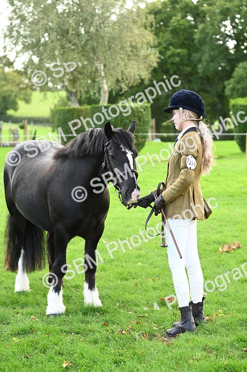 SBM_25004 - S5 - Novice & Newcomer In hand