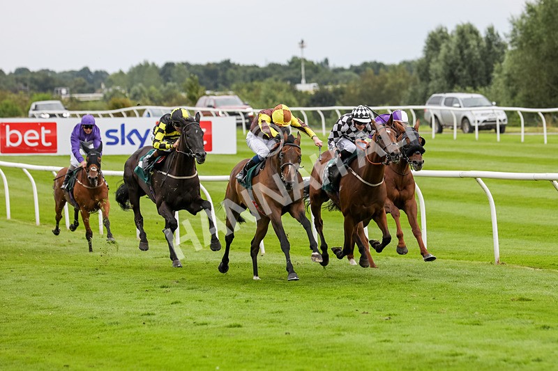 240724-Race 5-Furzig-3605 - Race 5