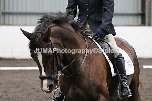 SIAL4644 - CAbin Dressage 5th july 2025