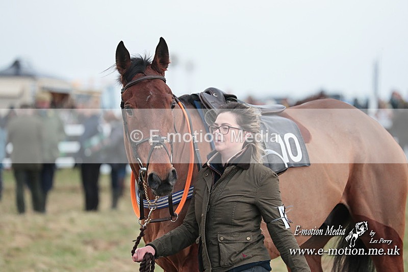 PtP 311223 203 - Larkhill Racing Club Point-to-Point 31/12/23