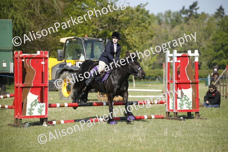 20250427-0390 - Class 12 - Rookie Jumping 40cm