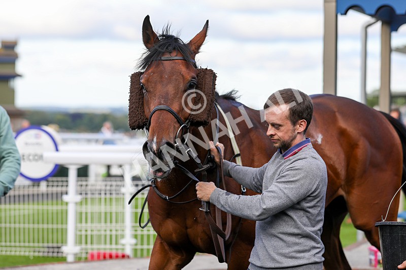 180624-Race 3-Sunny Orange-7916 - Race 3